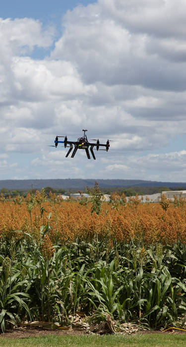 Sustainable agriculture